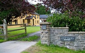 Pwllgwilym B & B